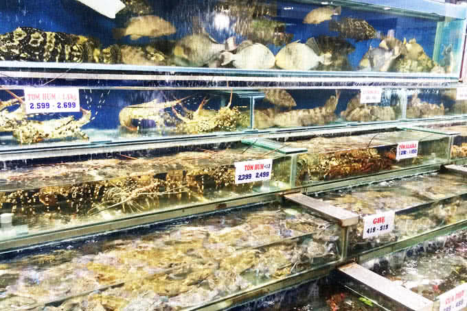 hải sản Biển Đông Trần Quốc Toản 1
