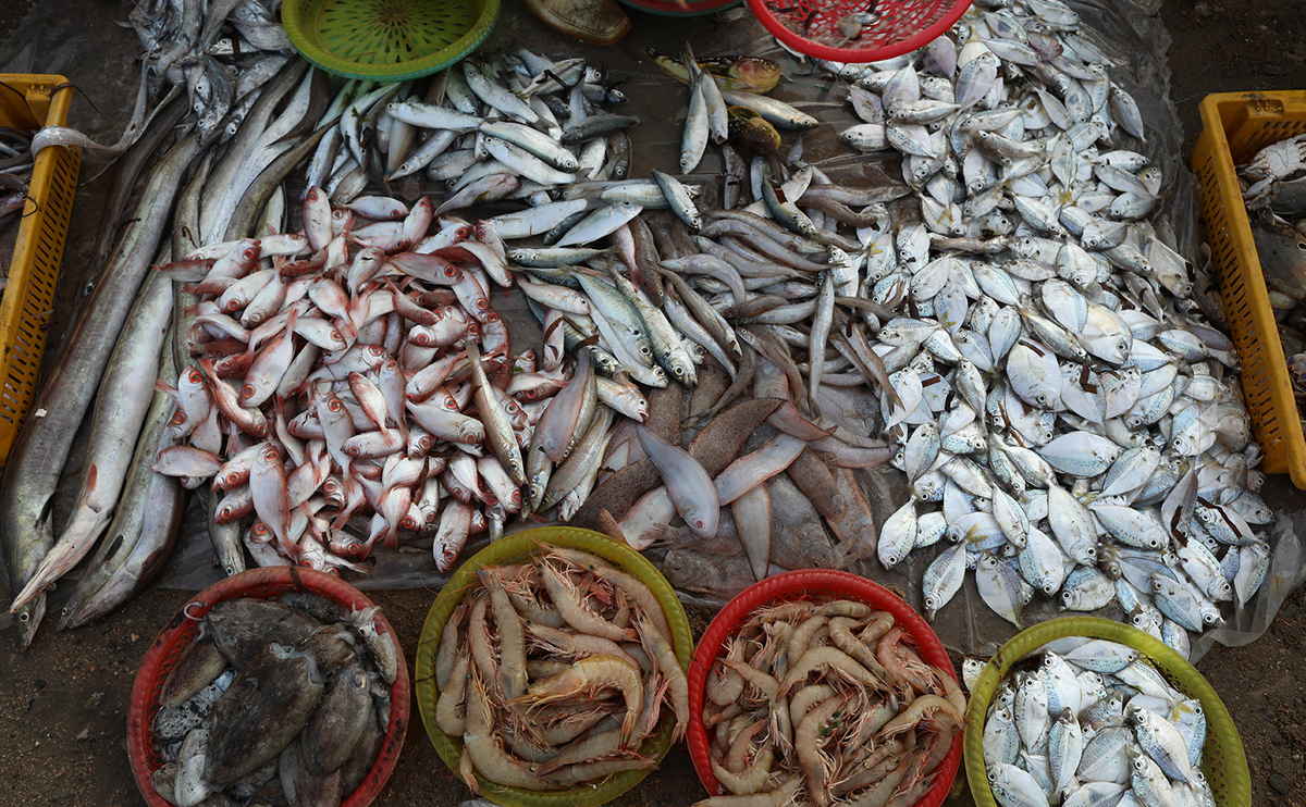 chợ hải sản Quảng Ninh tại Hà Nội 4