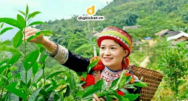 Top 20 đặc sản Tuyên Quang nổi tiếng thơm ngon - ý nghĩa làm quà