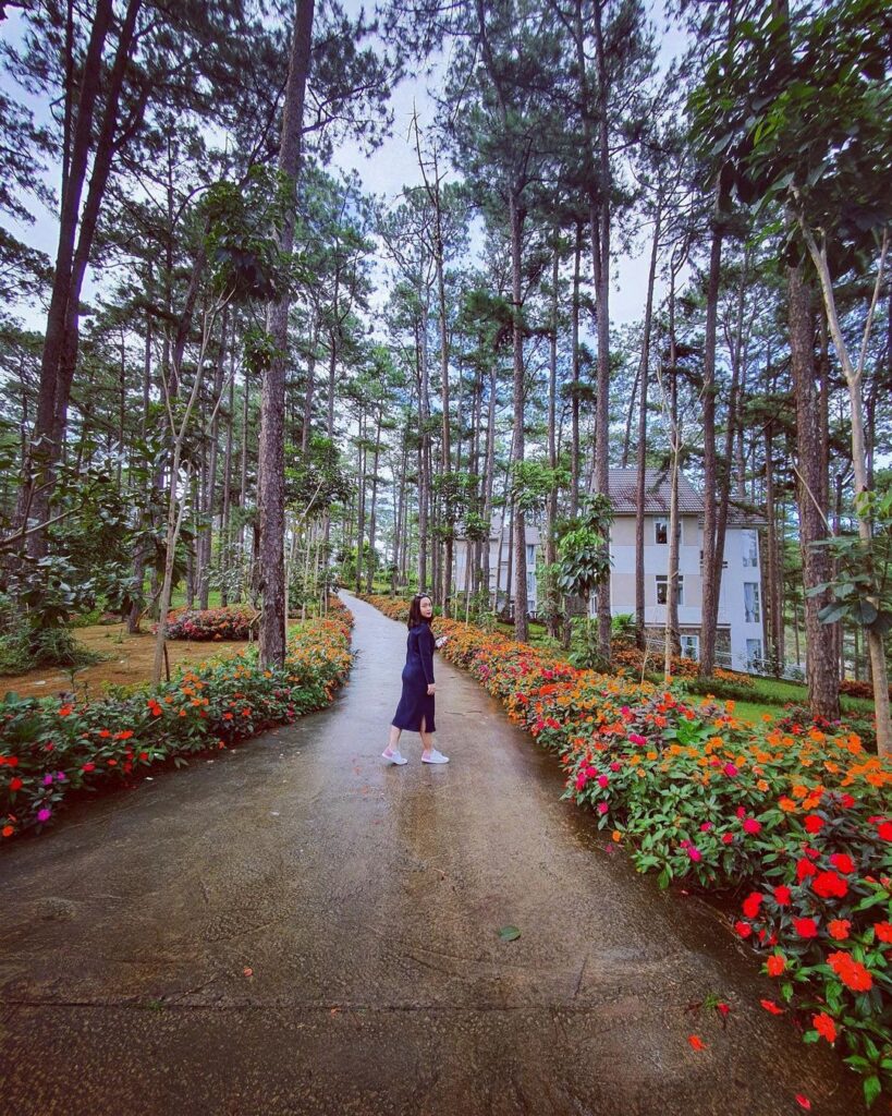 tour dalat thang 10