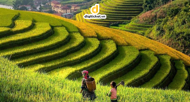 Mê mẩn vẻ đẹp hùng vĩ Cao nguyên đá Đồng Văn Hà Giang - Digiticket