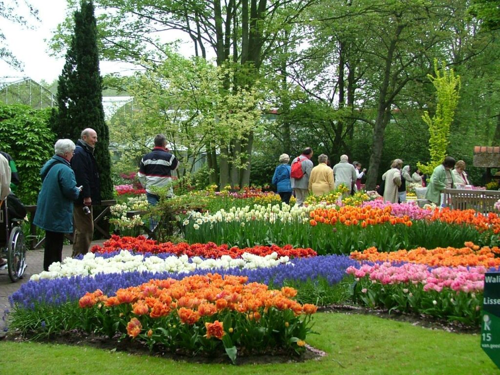 Review 11 vườn hoa Đà Lạt đẹp nhất thành phố ngàn hoa