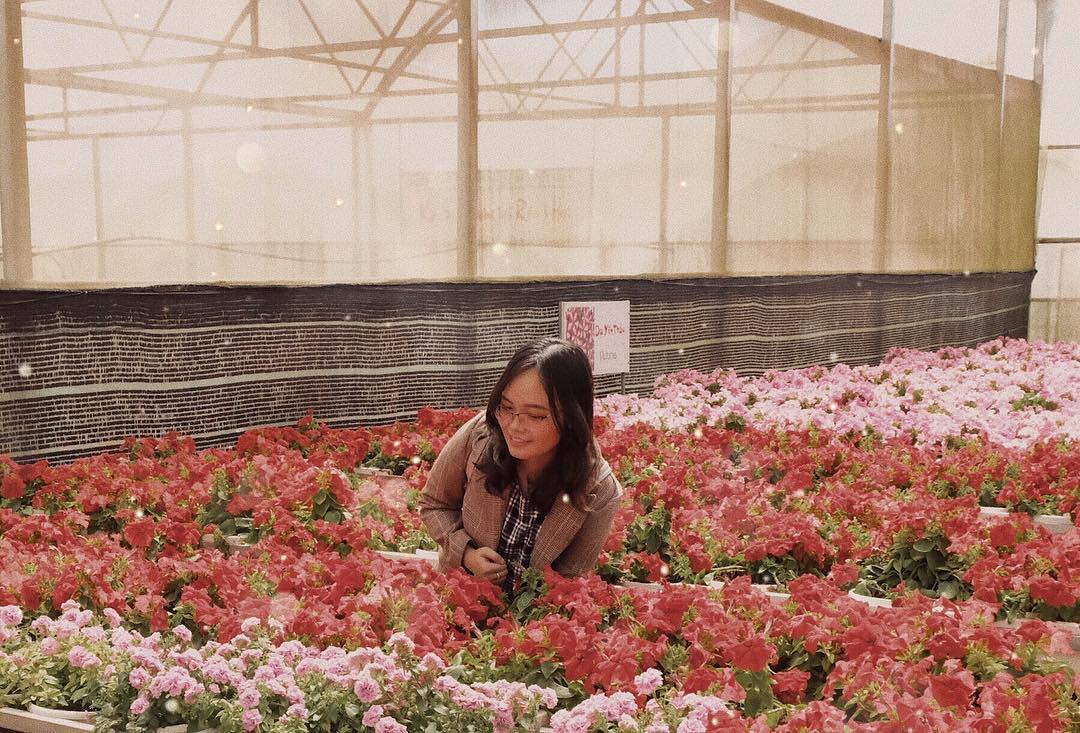 Lạc trôi với top 3 vườn hoa hồng đẹp ở Đà Lạt nổi tiếng nhất